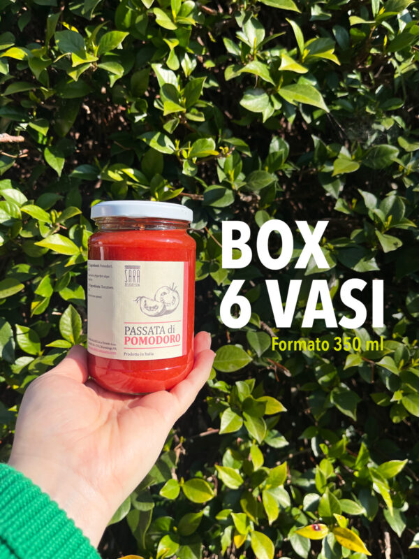 Passata di pomodoro - immagine 2